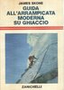 Guida all'arrampicata moderna su ghiaccio