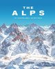 The Alps in Panoramic Paintings