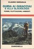 Guida ai ghiacciai e alla glaciologia
